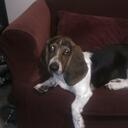 Adam Hiller - @GoodBull2007 - Twitter