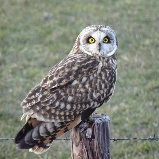 hr_advies's profile picture. Voor advies en ondersteuning bij personeelsvragen, arbeid en loopbaan.
Voor Werkgevers en Werknemers 
vraag een vrijblijvend een gesprek aan. Tel. 0627466764