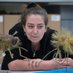 Dr Erica McAlister (@flygirlnhm) Twitter profile photo Dr Erica McAlister (@flygirlnhm) Twitter profile photo