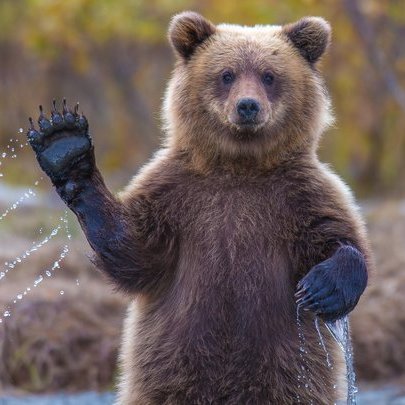 CrashLog's profile picture. Focussed on iOS Dev, Marketing and Sales for startups. This is a log for my experiments.