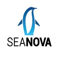 Seanova (@seanova29) 's Twitter Profile