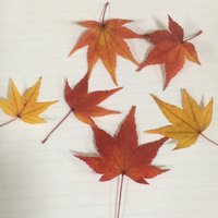 けいた (@k_t0421) 's Twitter Profile