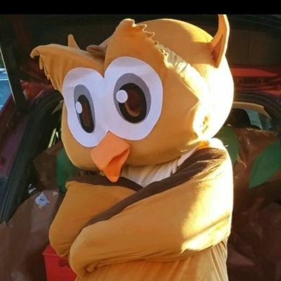We are the Mighty Wise Owls. We are Outstanding citizens,Well mannered, Loyal to learning and Soaring to success!!!