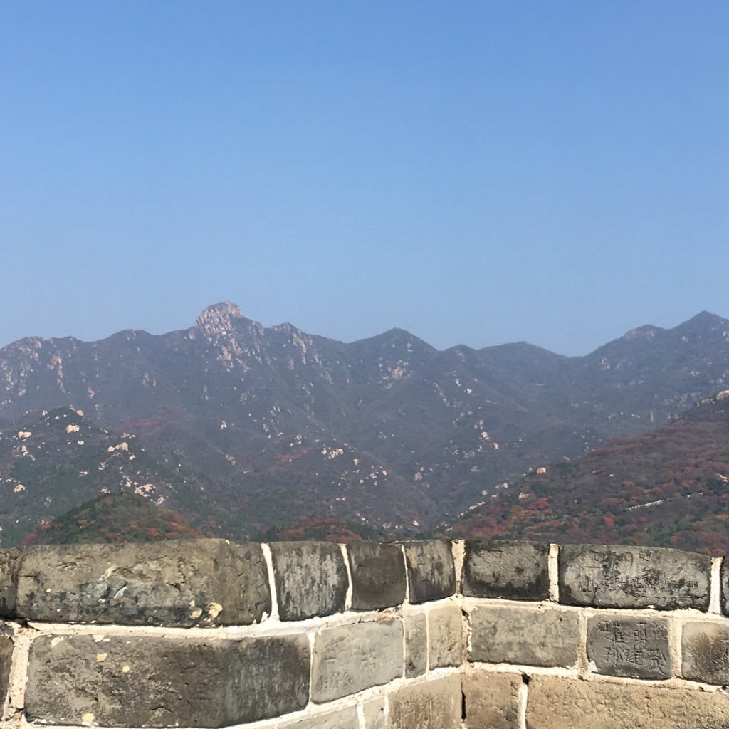 julia_probie_98's profile picture. 