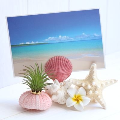 Linaria 0217 Pe Twitter リゾートウェディングにもオススメの本物の貝殻を使用したリングピロー T Co Piameujqha ミンネで販売中 クリーマで販売中 リングピロー リゾートウェディング ハワイ 沖縄 海 シェル 貝殻 結婚式 T Co Lzwixb4yo4