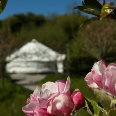 Pink Apple Glamping - Experience Luxury Eco Glamping in a Hobbit House, Yurt, Teepee or Gypsy wagon all hand crafted on sight, while Exploring Lovely Leitrim.