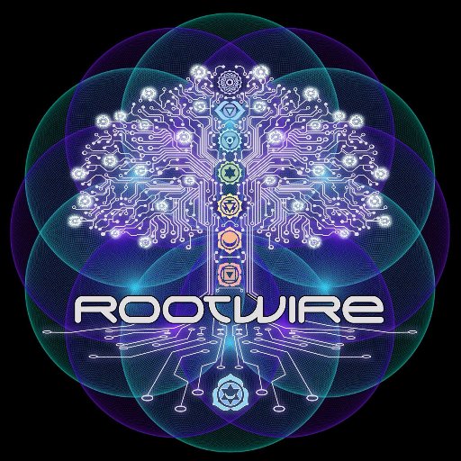 Rootwire is a 3 Day & 3 Night Transformational Experience designed to Celebrate and Inspire Love, Beauty, Music, Community Building, and Shared Consciousness.