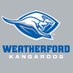 Roo Basketball (@roobball) Twitter profile photo Roo Basketball (@roobball) Twitter profile photo