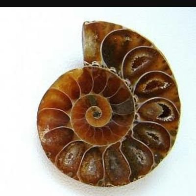 AsyaNatalia1's profile picture. 