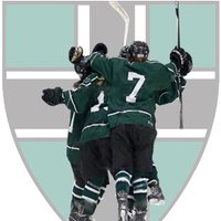 Brooks Girls Hockey (@brooksgvhockey) 's Twitter Profile