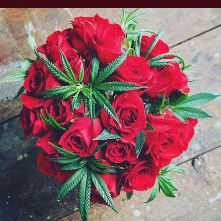 GooguuBadu's profile picture. Just Give Me Music... Please 🙏🏼