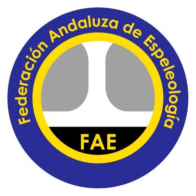 La Federación Andaluza de Espeleología, acogida a la Ley del Deporte, realiza funciones delegadas de la Junta de Andalucía en competiciones y tecnificación.