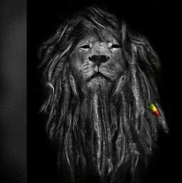 _iamoludayo's profile picture. 🌍