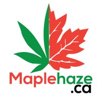 MapleHaze.ca (@maplehazeca) 's Twitter Profile