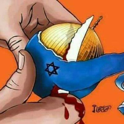 PeghamMuhammadi's profile picture. 