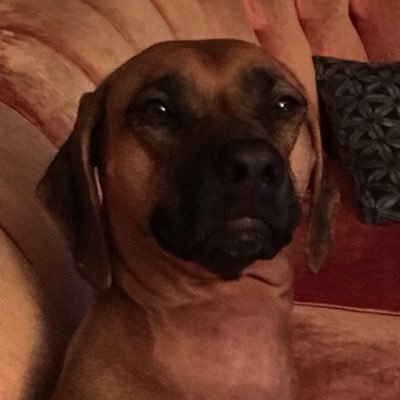 geoth0t's profile picture. (they/she) maggie stan account