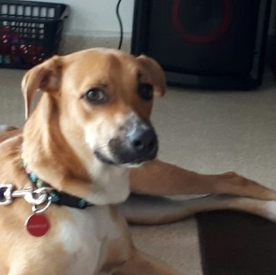 Sandypmg03's profile picture. Caminante, son tus huellas el camino, y nada más; caminante, no hay camino, se hace camino al andar...