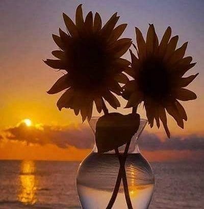 B8ZP1TfzeVCnTff's profile picture. كن كالغيث اذاحضر نفع وإن غاب لاينسى