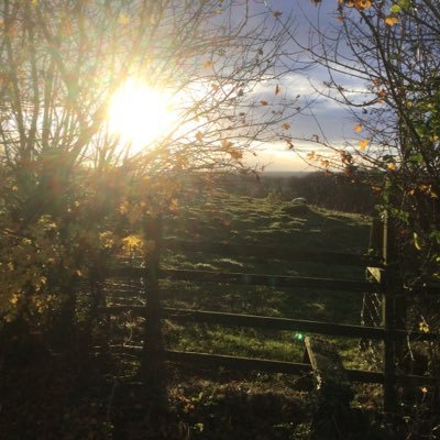 mhrjudith's profile picture. watching as the climate breaks down faster year on year