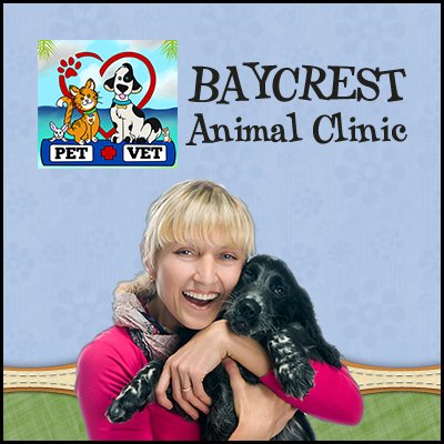 This is the offical Twitter page of Baycrest Animal Clinic. Also don't forget to follow us on facebook (Baycrest Animal Clinic).