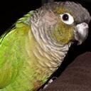 Paul Klatt - @Hotrod63 - Twitter