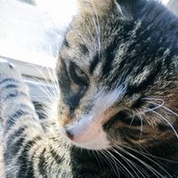 micah 😴 (@stay_fr0sty__) 's Twitter Profile Photo micah 😴 (@stay_fr0sty__) 's Twitter Profile Photo