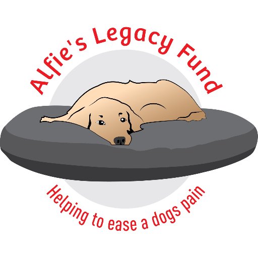 Alfies Legacy Fund honours my dogs life, who sadly passed away 01122016. The fund provides beds to the dogs trust for dogs, like Alfie who have painful joints.