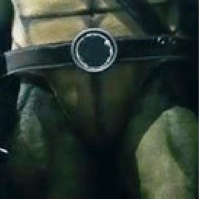 Leonardo’s plastron ready to bring out what’s hiding inside. #Gay #Lewd #RP