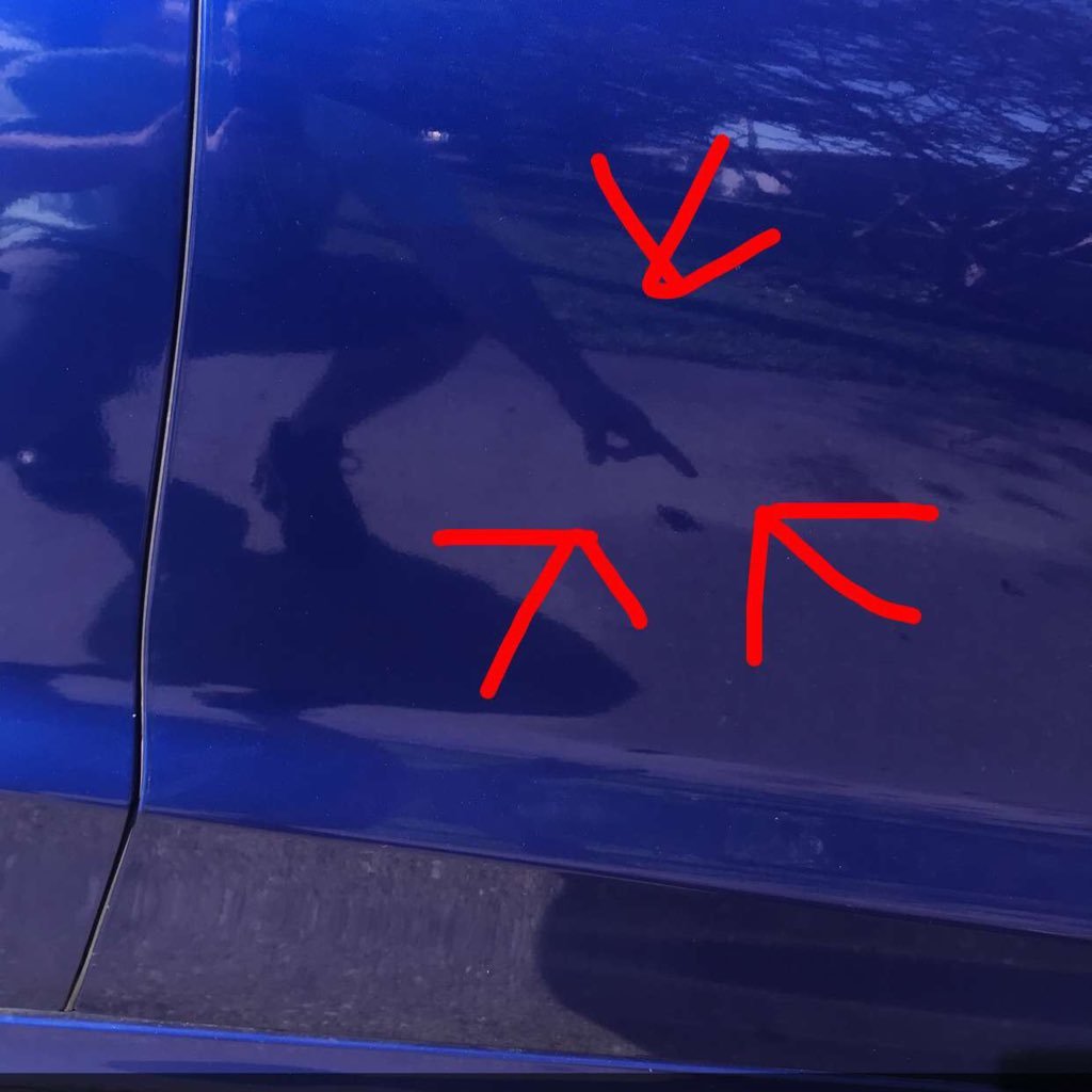 legalnithing's profile picture. Living life and loving every minute