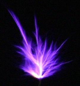 C00155's profile picture. 