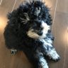 okck0521's profile picture. 