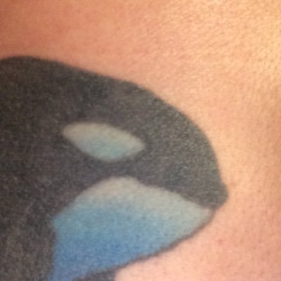 KLAXYK1's profile picture. Hate Trump. Love my kids. Love MSNBC. Hate trump. Love my puppies. MOA for specialist. Hate trump