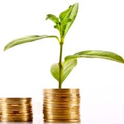 Mitrajo481's profile picture. 