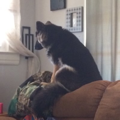 CatalystCarr's profile picture. Veteran. Pragmatic. INFP. Father of twins. 🤔