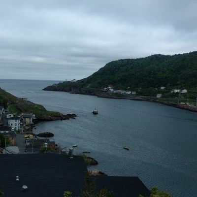 Tweet ways we can help the environment on our beautiful island of Newfoundland! A local interest group seeking to bring awareness to recycling in Newfoundland.