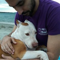 το ξωγαμο του πουτιν (@stets26) 's Twitter Profile