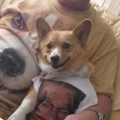 _skidss's profile picture. what is love