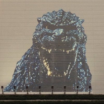 the_japan's profile picture. In Tokyo, Japan