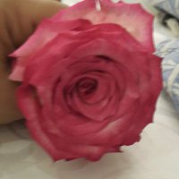 فاطمة الحسني (@fatma21_6) 's Twitter Profile Photo