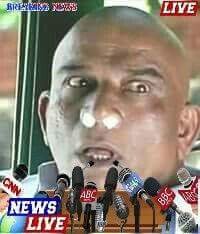 அரசாங்கம் மற்றும் அரசியல்