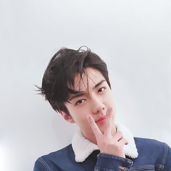 เซบี. 🐥 Profile