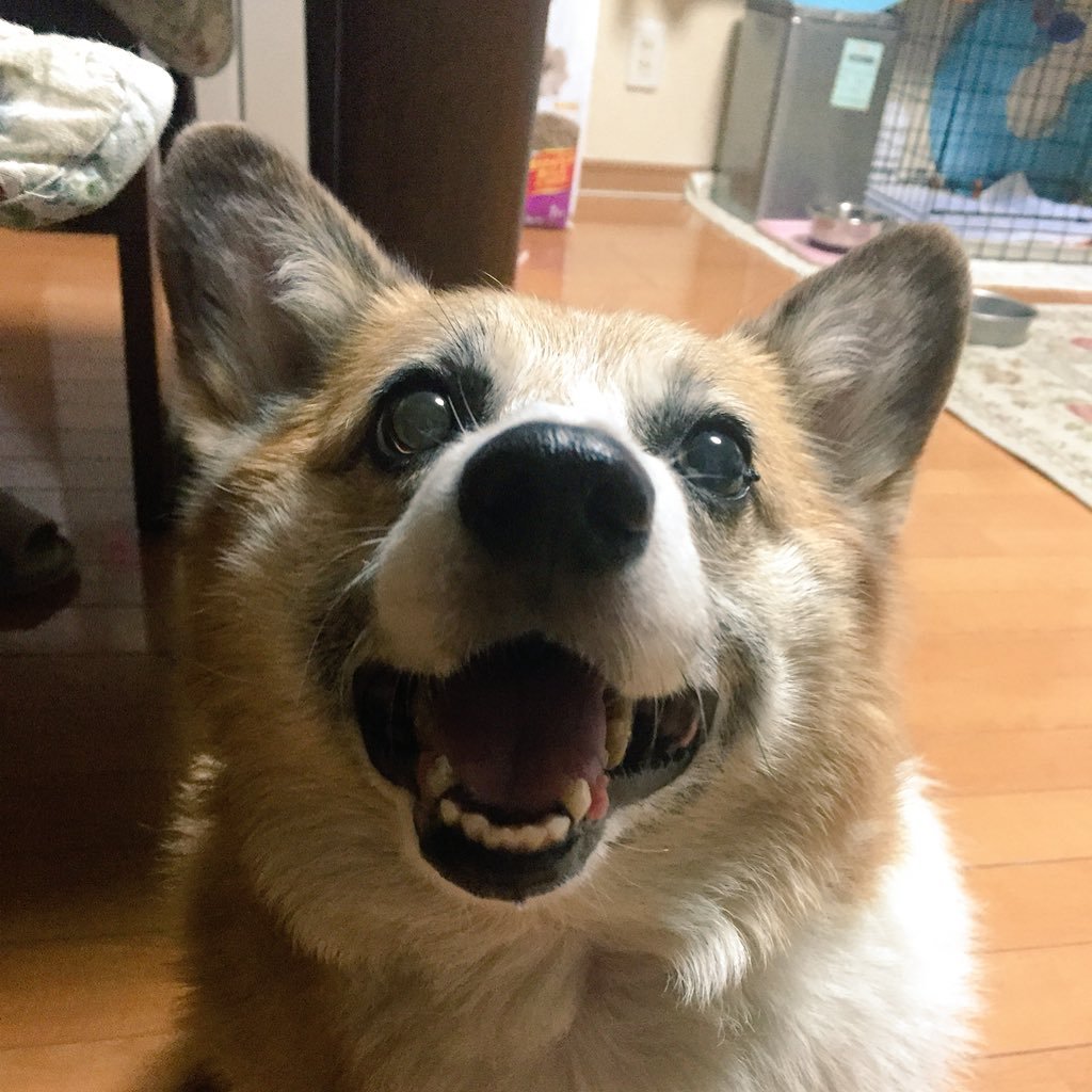 HANAさんのプロフィール画像