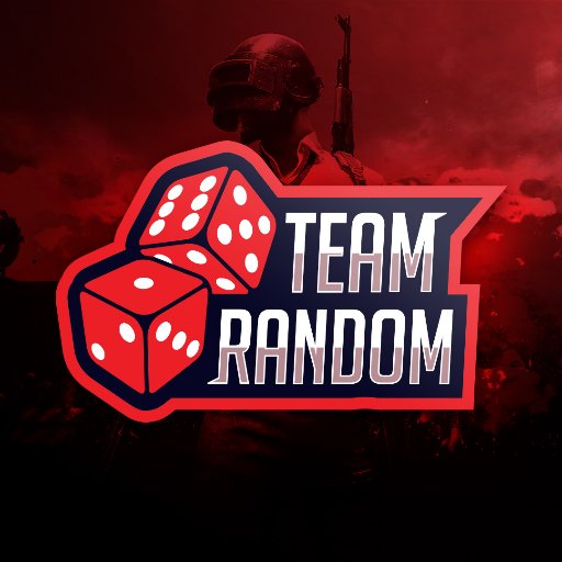 teamrandompubg's profile picture. 