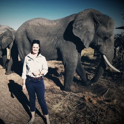 Living the dream live with Elephants, leopards,wild dogs and plenty more in my back yard...