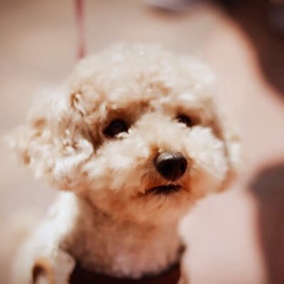 feats_choi's profile picture. 