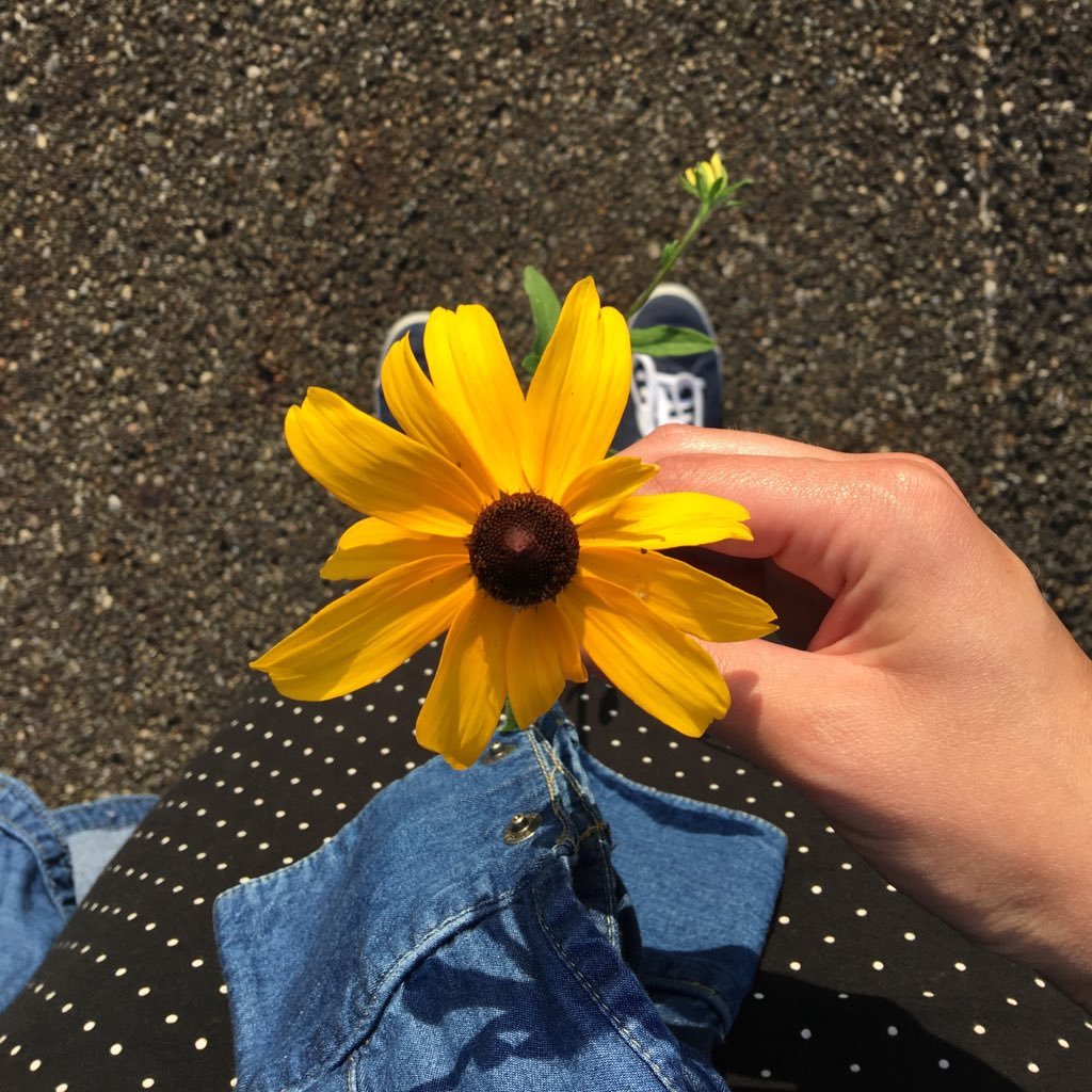 allykelley2016's profile picture. Sometimes I pretend to be normal. But then it gets boring. So I go back to being me.