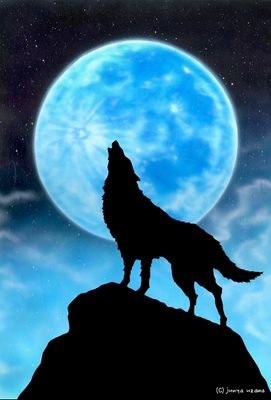 Wd8wss1KmJANQhs's profile picture. (^○^)酸いも甘いも一途です。

 競馬予想の時間が好きです。

帯を的中するぞ🎯