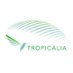 Tropicalia (@tropicaliaopale) Twitter profile photo Tropicalia (@tropicaliaopale) Twitter profile photo