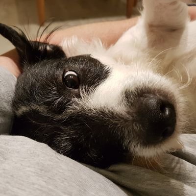 jamesebrough's profile picture. 