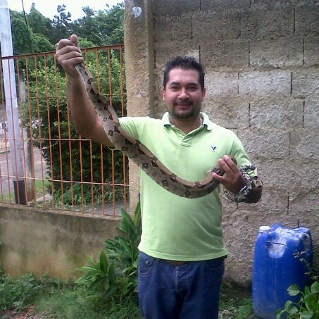 rafa1montilla's profile picture. 